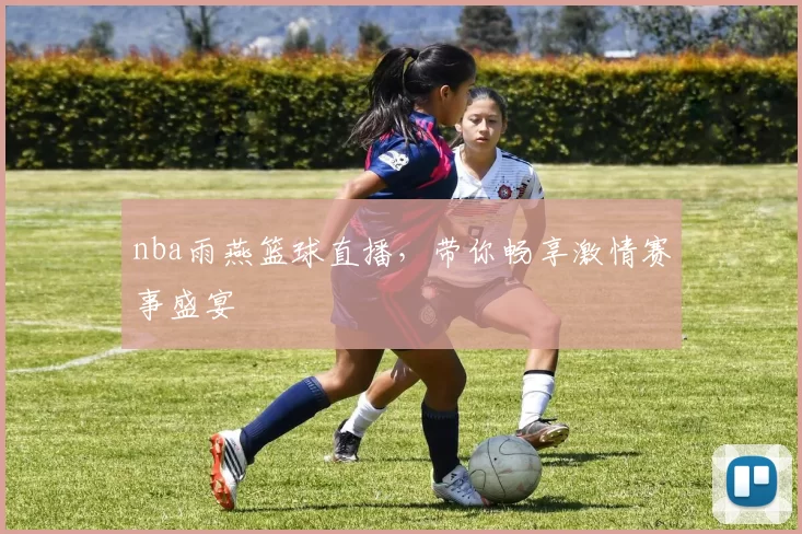 nba雨燕篮球直播，带你畅享激情赛事盛宴
