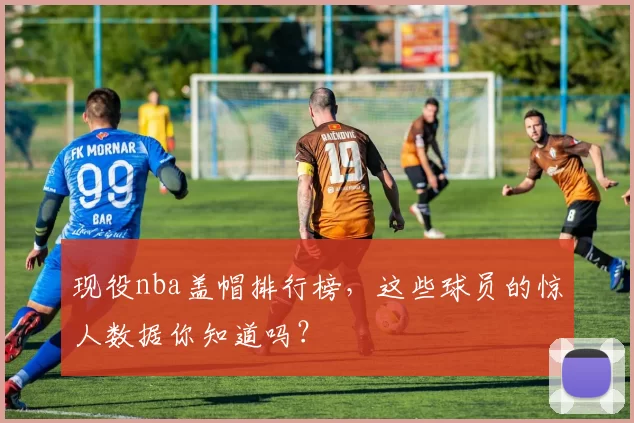 现役nba盖帽排行榜，这些球员的惊人数据你知道吗？