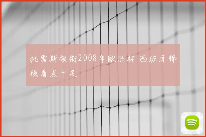 托雷斯领衔2008年欧洲杯 西班牙锋线看点十足