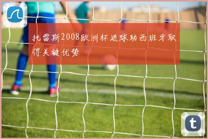 托雷斯2008欧洲杯进球助西班牙取得关键优势