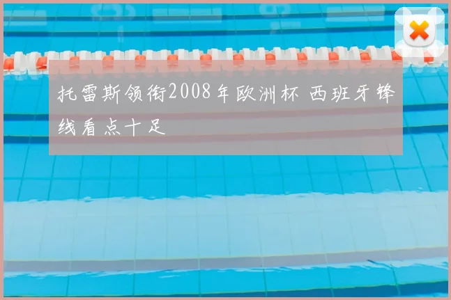 托雷斯领衔2008年欧洲杯 西班牙锋线看点十足