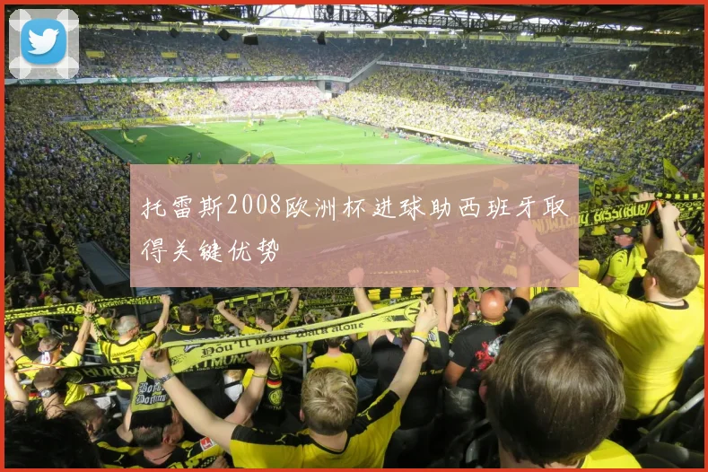 托雷斯2008欧洲杯进球助西班牙取得关键优势