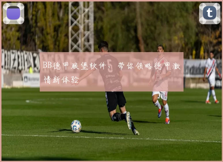 BB德甲狼堡软件，带你领略德甲激情新体验