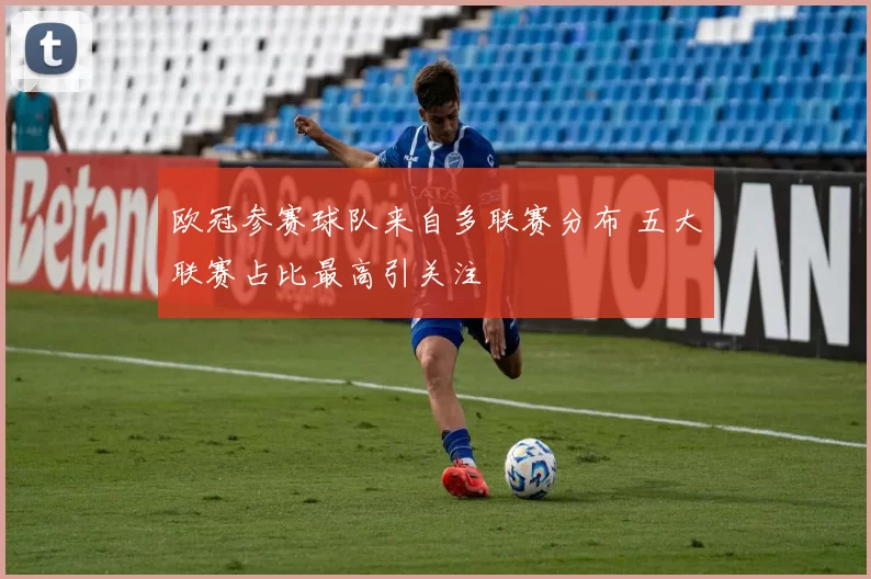 欧冠参赛球队来自多联赛分布 五大联赛占比最高引关注