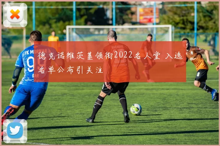 德克诺维茨基领衔2022名人堂 入选名单公布引关注