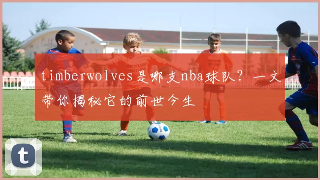 timberwolves是哪支nba球队？一文带你揭秘它的前世今生