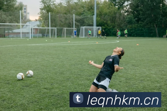 开云·kaiyun体育(中国大陆)官方网站 登录入口平台生态图